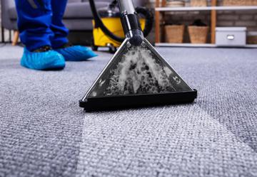 Carpet Cleaning